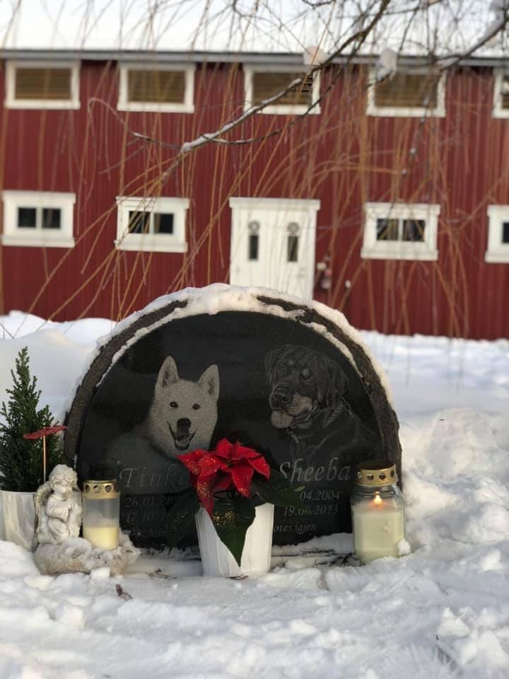 Gardsopphold Notodden Apartment Екстериор снимка
